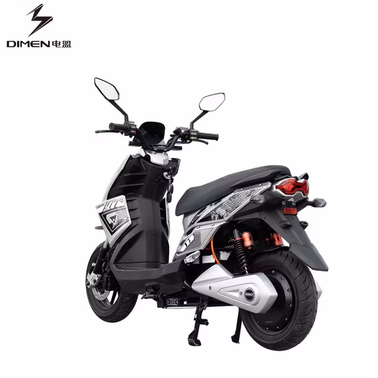Scooter elettrico a due ruote Smart Off Road Scooter modello E-Scooter per adulti